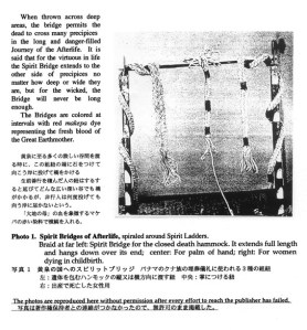 newsletter 2 figure 1