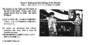 newsletter 2 figure 2